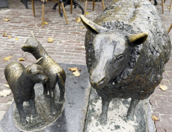 Wardenaar-1